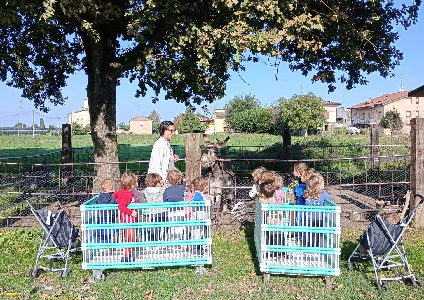 Attrezzature e area interna del Nido