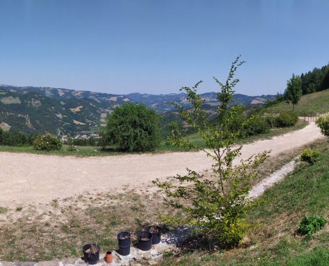 PANO_20190806_132424